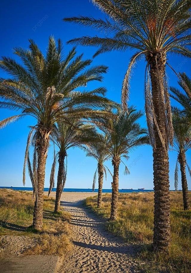 Playa Del Pinar Home 그라오 데 카스테욘 외부 사진